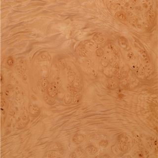 枫木团聚瘤 Maple Cluster